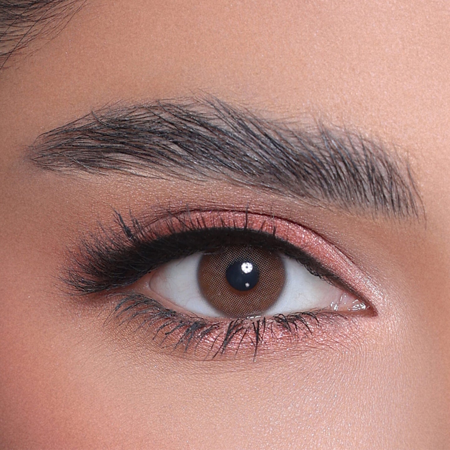 3D BROWN