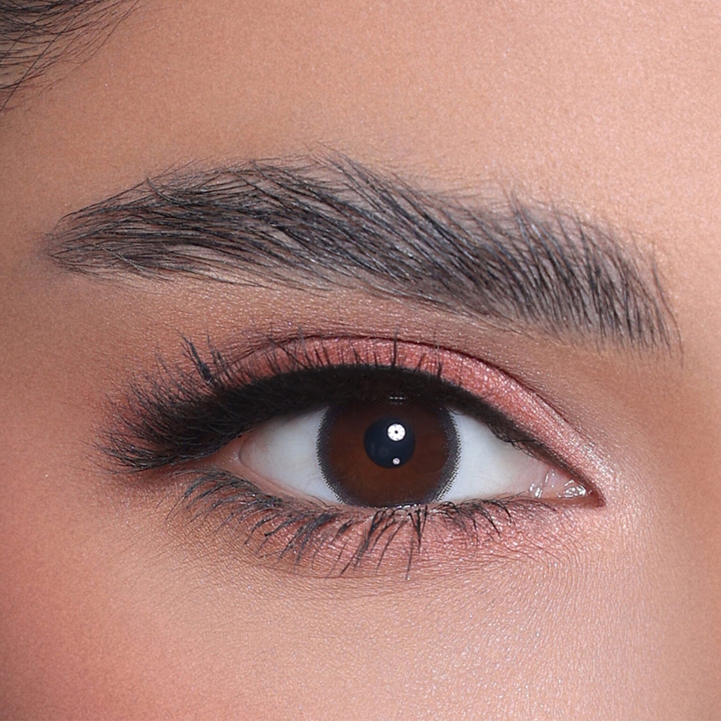 3D OCHER