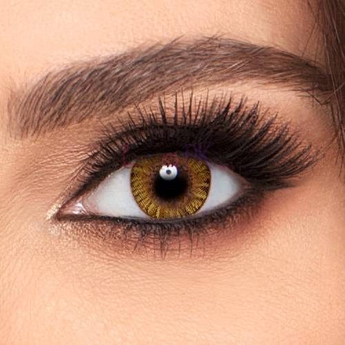 Freshlook Lenses